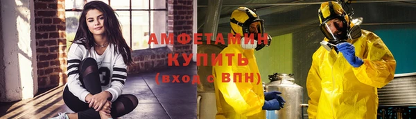 сатива Беломорск