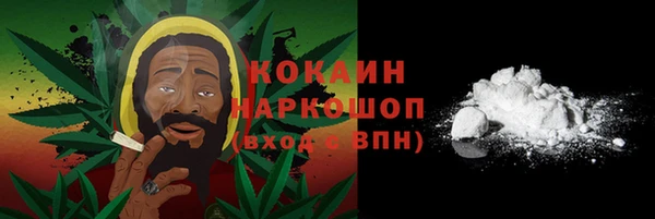 винт Богданович