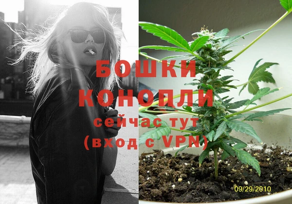 винт Богданович