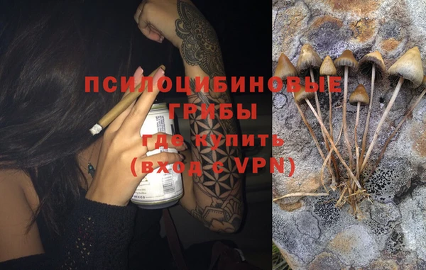 винт Богданович