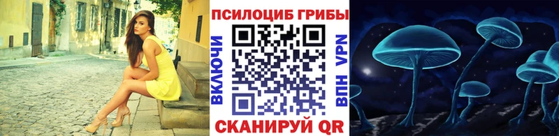 Галлюциногенные грибы Psilocybine cubensis  Ставрополь 
